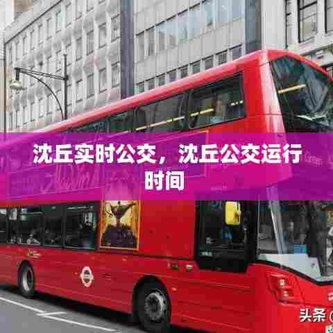 沈丘实时公交，沈丘公交运行时间 