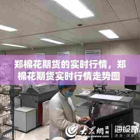 郑棉花期货的实时行情，郑棉花期货实时行情走势图 