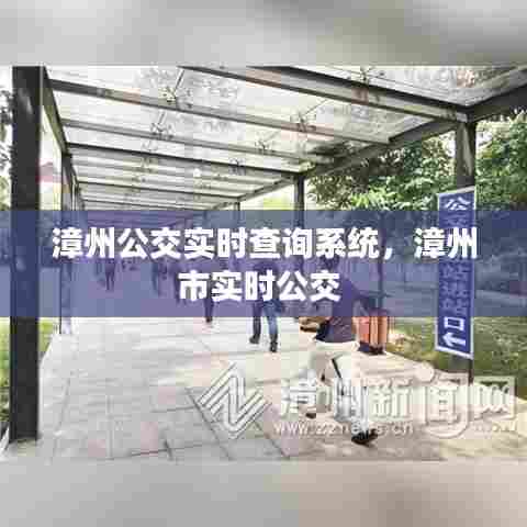 漳州公交实时查询系统，漳州市实时公交 
