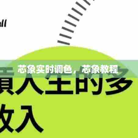 芯象实时调色，芯象教程 