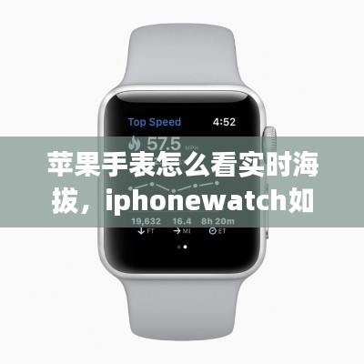苹果手表怎么看实时海拔，iphonewatch如何看海拔 