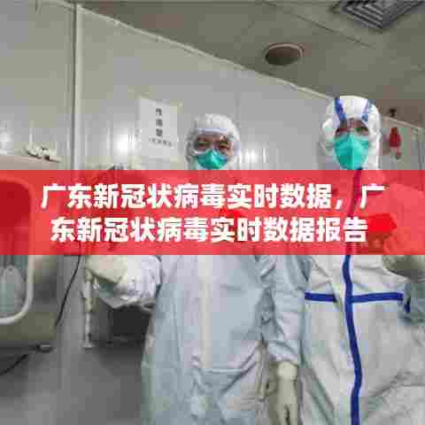 广东新冠状病毒实时数据，广东新冠状病毒实时数据报告 