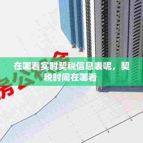 在哪看实时契税信息表呢，契税时间在哪看 