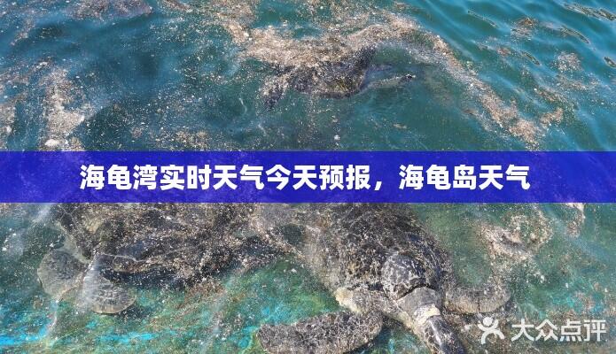 海龟湾实时天气今天预报，海龟岛天气 