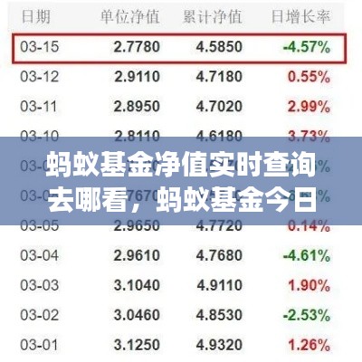 蚂蚁基金净值实时查询去哪看，蚂蚁基金今日净利 