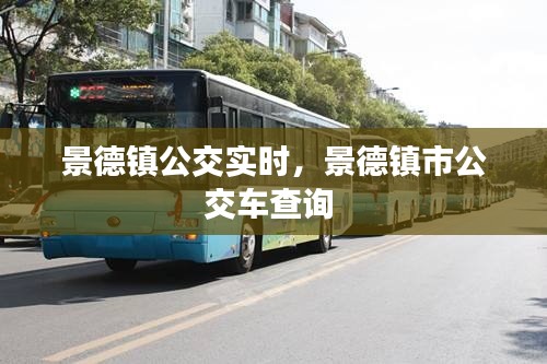 景德镇公交实时，景德镇市公交车查询 