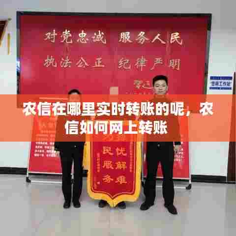 农信在哪里实时转账的呢，农信如何网上转账 