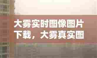 大雾实时图像图片下载，大雾真实图片 