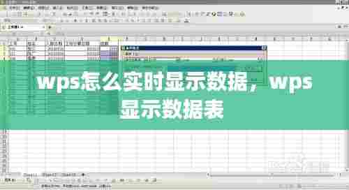 wps怎么实时显示数据，wps显示数据表 