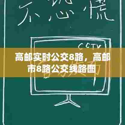 高邮实时公交8路，高邮市8路公交线路图 