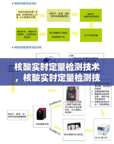 核酸实时定量检测技术，核酸实时定量检测技术要求 