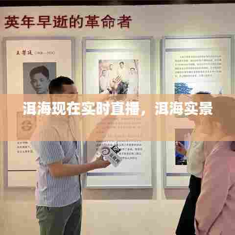 洱海现在实时直播，洱海实景 