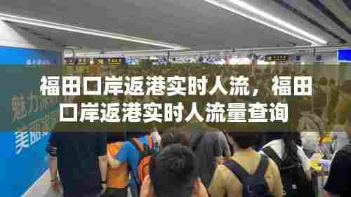 福田口岸返港实时人流，福田口岸返港实时人流量查询 