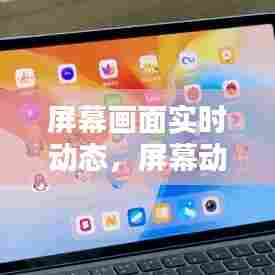 屏幕画面实时动态，屏幕动态范围是什么意思 