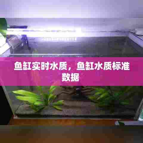 鱼缸实时水质，鱼缸水质标准数据 
