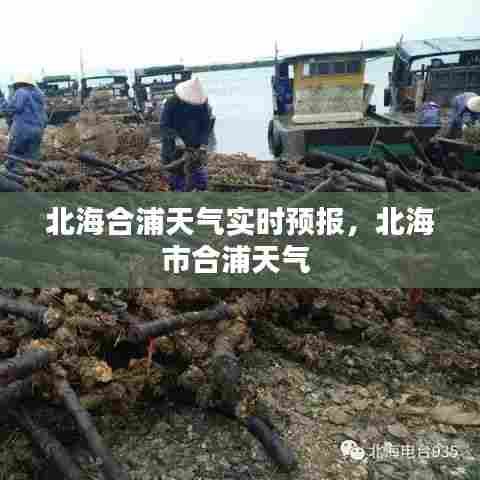 北海合浦天气实时预报，北海市合浦天气 