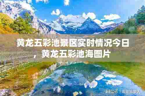 黄龙五彩池景区实时情况今日，黄龙五彩池海图片 