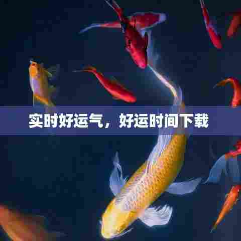 实时好运气，好运时间下载 