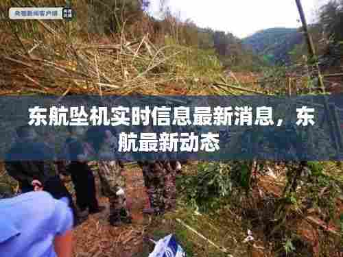 东航坠机实时信息最新消息，东航最新动态 