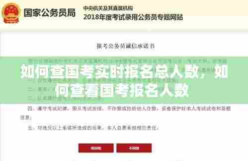 如何查国考实时报名总人数，如何查看国考报名人数 