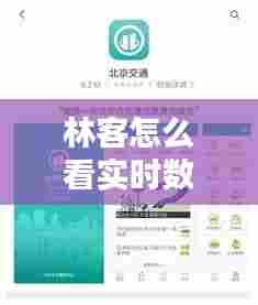 林客怎么看实时数据，北京林客互动是真是假 