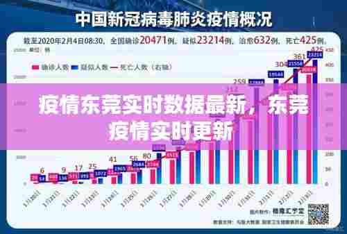 疫情东莞实时数据最新，东莞疫情实时更新 