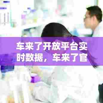 还朴反古 第7页