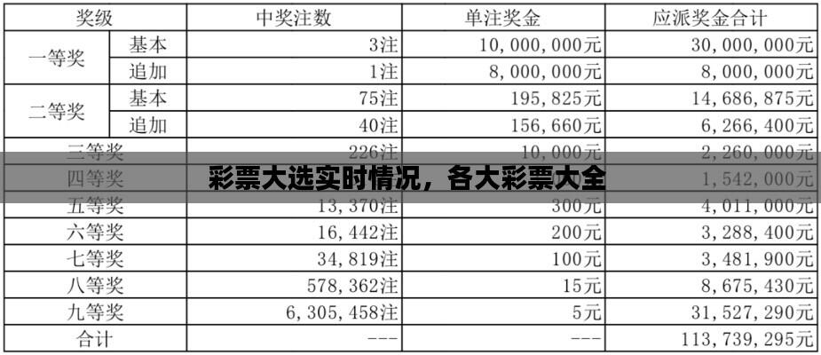 彩票大选实时情况，各大彩票大全 