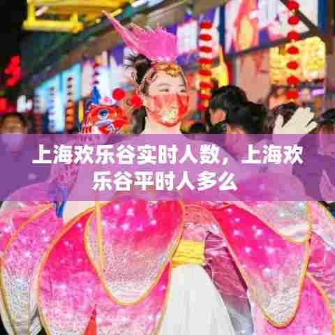 上海欢乐谷实时人数，上海欢乐谷平时人多么 