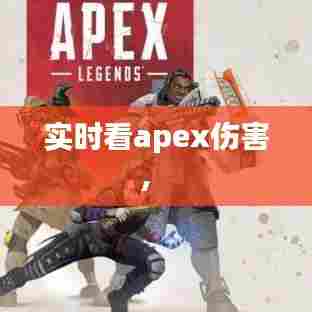 实时看apex伤害， 