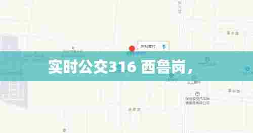 实时公交316 西鲁岗， 