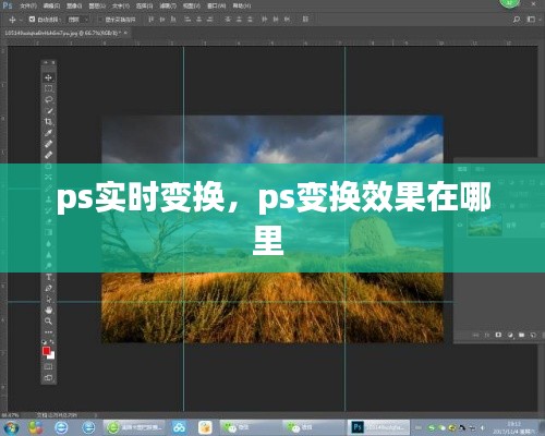 ps实时变换，ps变换效果在哪里 