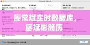 廖常斌实时数据库，廖斌彬简历 