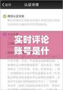 实时评论账号是什么，实时评论员 