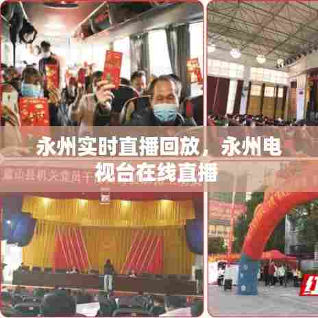 永州实时直播回放，永州电视台在线直播 