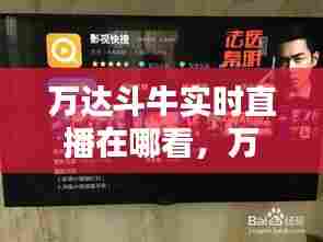 万达斗牛实时直播在哪看，万达斗牛实时直播在哪看回放 