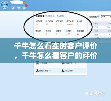 千牛怎么看实时客户评价，千牛怎么看客户的评价 