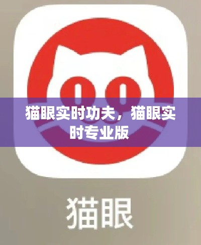 猫眼实时功夫，猫眼实时专业版 