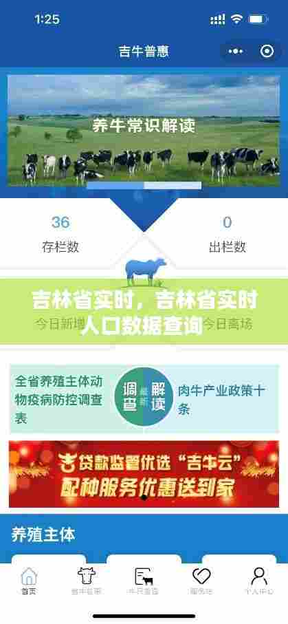 吉林省实时，吉林省实时人口数据查询 