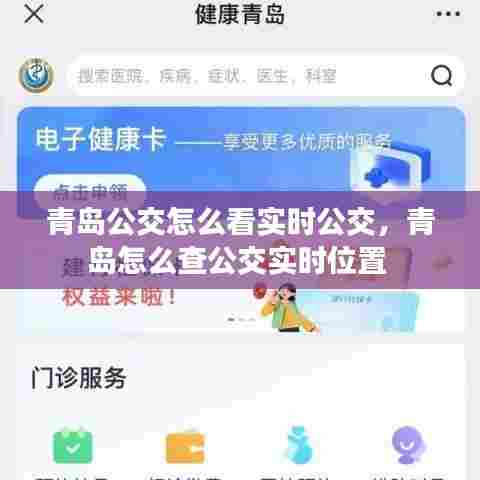 青岛公交怎么看实时公交，青岛怎么查公交实时位置 