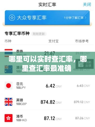 哪里可以实时查汇率，哪里查汇率最准确 