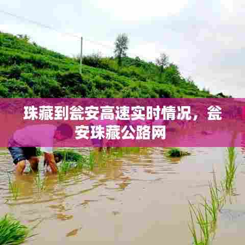 珠藏到瓮安高速实时情况，瓮安珠藏公路网 
