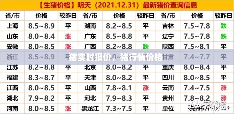 猪实时报价，猪行情价格 