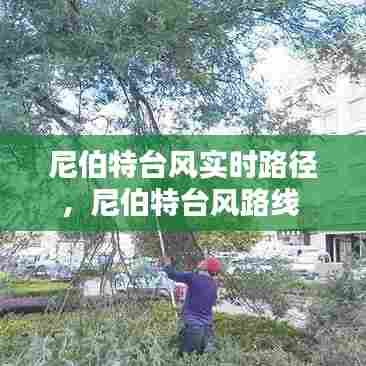 尼伯特台风实时路径，尼伯特台风路线 