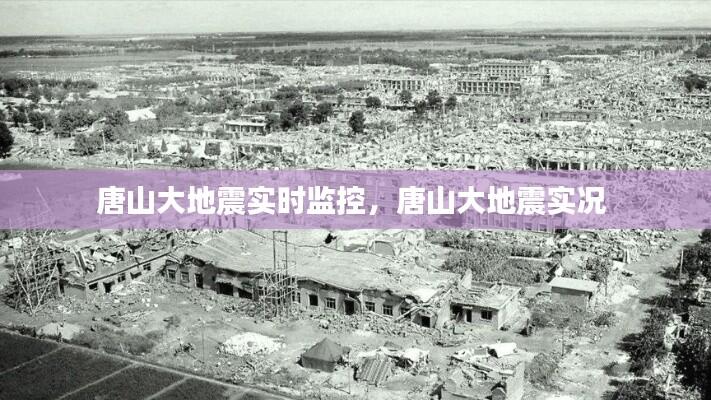 唐山大地震实时监控，唐山大地震实况 