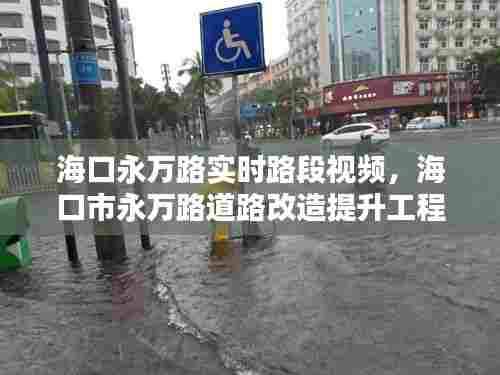 海口永万路实时路段视频，海口市永万路道路改造提升工程 