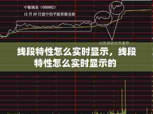 线段特性怎么实时显示，线段特性怎么实时显示的 