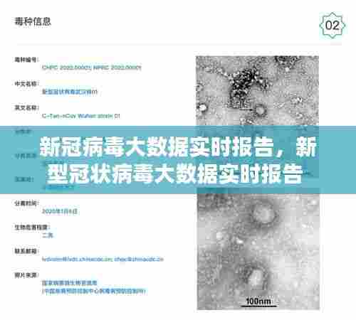 新冠病毒大数据实时报告，新型冠状病毒大数据实时报告 