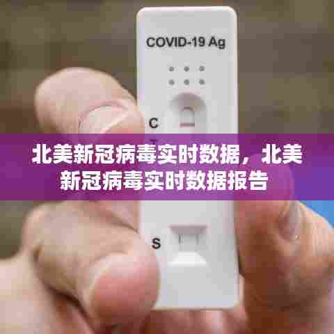 北美新冠病毒实时数据，北美新冠病毒实时数据报告 