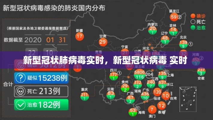 新型冠状肺病毒实时，新型冠状病毒 实时 
